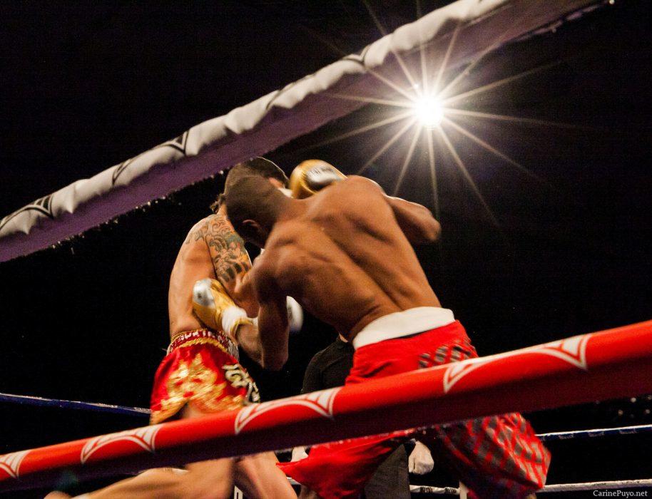 Tout Savoir Sur La Boxe Superprof